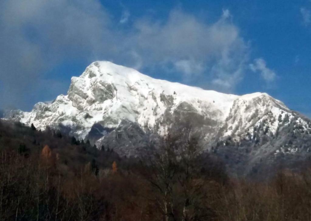 B&B Tisoi Belluno Zewnętrze zdjęcie