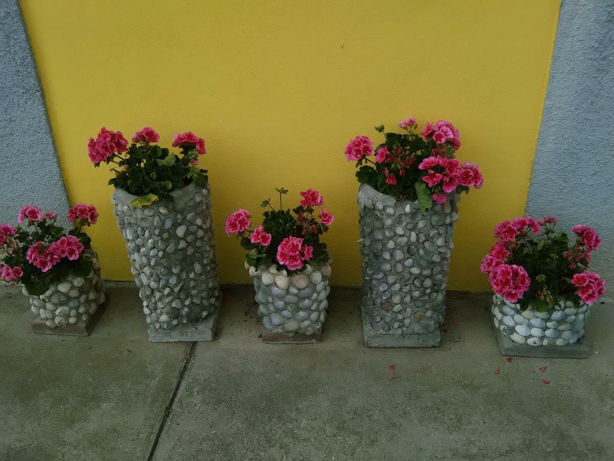 B&B Tisoi Belluno Zewnętrze zdjęcie